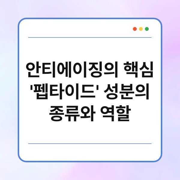 안티에이징의 핵심 ‘펩타이드’ 성분의 종류와 역할