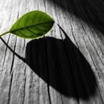 여름철 필수템 햇볕은 밉지만 피부는 지키고 싶다면 숨겨진 uv차단 비밀 파헤치기.jpg