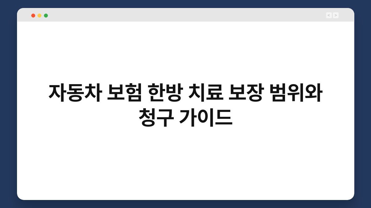 자동차 보험 한방 치료 보장 범위와 청구 가이드