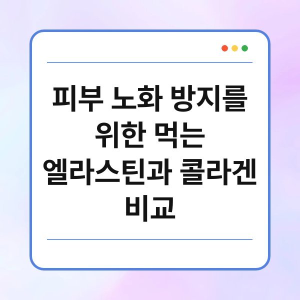피부 노화 방지를 위한 먹는 엘라스틴과 콜라겐 비교